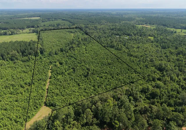 Photo 1 of Land for sale at 0000 County Road 2339, Marietta, TX 75566 | MLS# 21331458 | Listing updated on 2026-07-15