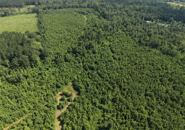 Photo 3 of Land for sale at 0000 County Road 2339, Marietta, TX 75566 | MLS# 21331458 | Listing updated on 2026-07-15