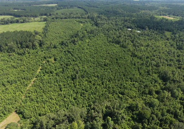 Photo 3 of Land for sale at 0000 County Road 2339, Marietta, TX 75566 | MLS# 21331458 | Listing updated on 2026-07-15