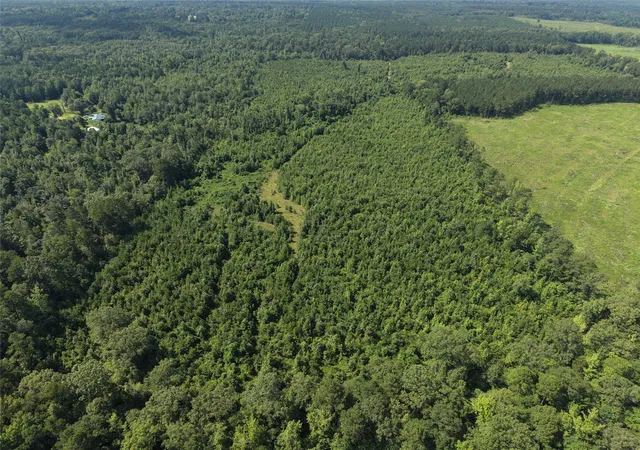 Photo 4 of Land for sale at 0000 County Road 2339, Marietta, TX 75566 | MLS# 21331458 | Listing updated on 2026-07-15