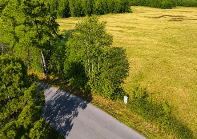 Photo 1 of Land for sale at 562 Cr 4430, Winnsboro, TX 75494 | MLS# 21330614 | Listing updated on 2026-07-15