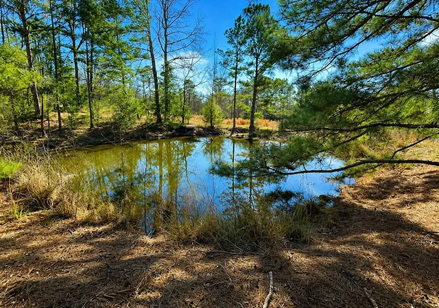 Photo 2 of Land for sale at 562 Cr 4430, Winnsboro, TX 75494 | MLS# 21330614 | Listing updated on 2026-07-15