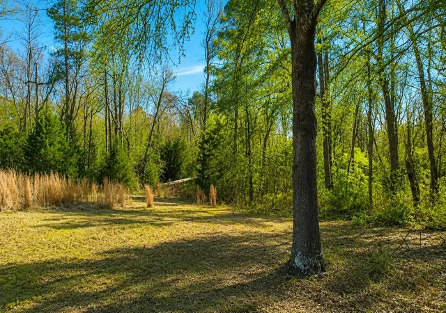 Photo 4 of Land for sale at 562 Cr 4430, Winnsboro, TX 75494 | MLS# 21330614 | Listing updated on 2026-07-15