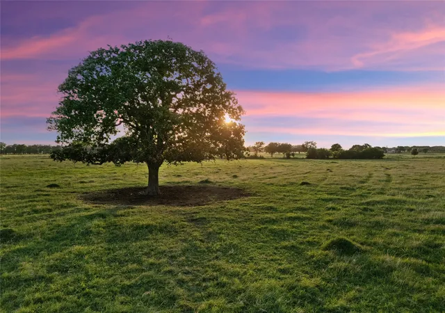 Photo 1 of Land for sale at 2442 Happy Swaner Ln, Axtell, TX 76624 | MLS# 21312080 | Listing updated on 2026-07-28