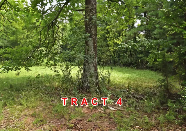 Photo 3 of Land for sale at Tract 4 County Road 3117, Clarksville, TX 75426 | MLS# 21331849 | Listing updated on 2026-07-20