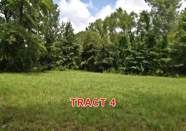 Photo 4 of Land for sale at Tract 4 County Road 3117, Clarksville, TX 75426 | MLS# 21331849 | Listing updated on 2026-07-20