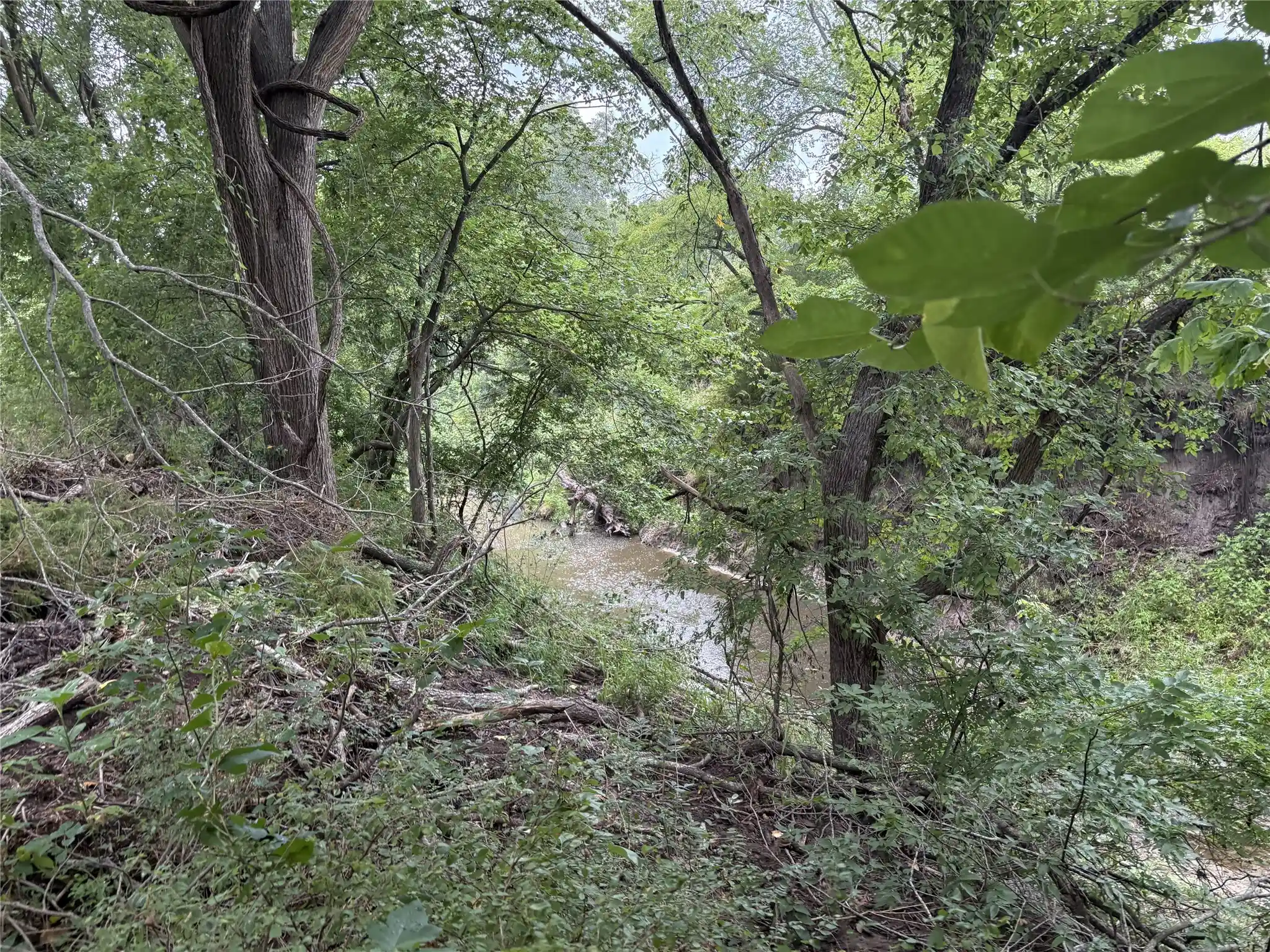Land for sale at Tbd W State Hwy 31, Purdon, TX 76679 | MLS# 21325669
