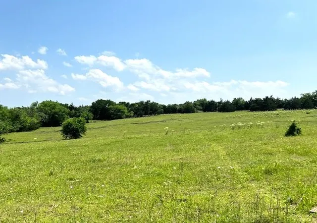 Photo 2 of Land for sale at Tbd Cr 663, Farmersville, TX 75442 | MLS# 21331964 | Listing updated on 2026-07-15