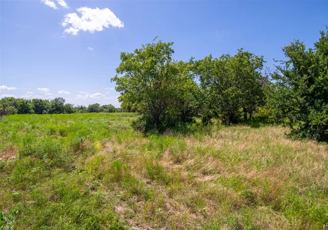 Photo 3 of Land for sale at Tbd Cr 663, Farmersville, TX 75442 | MLS# 21331964 | Listing updated on 2026-07-15