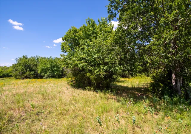 Photo 4 of Land for sale at Tbd Cr 663, Farmersville, TX 75442 | MLS# 21331964 | Listing updated on 2026-07-15