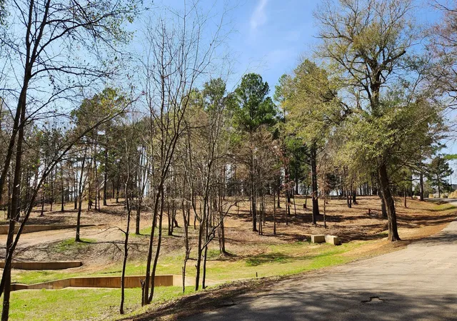 Photo 3 of Land for sale at 22540 County Road 1174, Bullard, TX 75757 | MLS# 21331995 | Listing updated on 2026-07-15