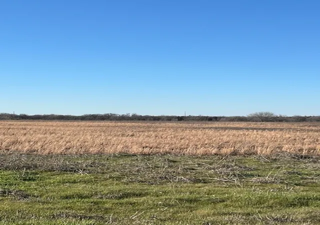 Land for sale at Tbd County Road 1240, Savoy, TX 75479 | MLS# 21332006