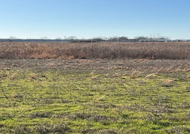 Photo 2 of Land for sale at Tbd County Road 1240, Savoy, TX 75479 | MLS# 21332006 | Listing updated on 2026-07-15