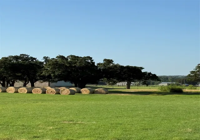 Photo 3 of Land for sale at 2025 Swallow Tail Ct, Poolville, TX 76487 | MLS# 21331887 | Listing updated on 2026-08-17