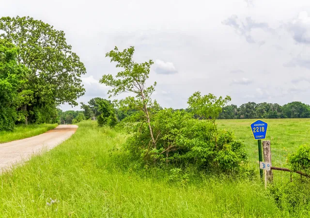 Photo 4 of Land for sale at 0 Fm 645, Tennessee Colony, TX 75861 | MLS# 21332030 | Listing updated on 2026-07-15