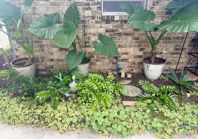 Photo 3 of Single family home for sale at 4504 Delwood Dr, Brownwood, TX 76801 | MLS# 21332766 | Listing updated on 2026-09-15