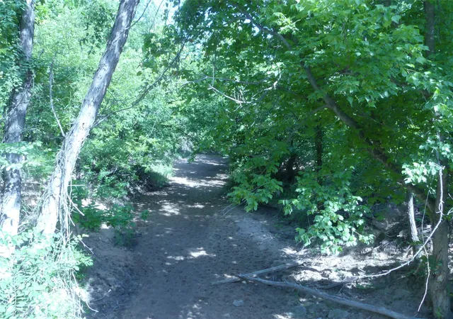 Photo 3 of Land for sale at 1691 W Alamo Rd, Bowie, TX 76230 | MLS# 21332827 | Listing updated on 2026-10-04