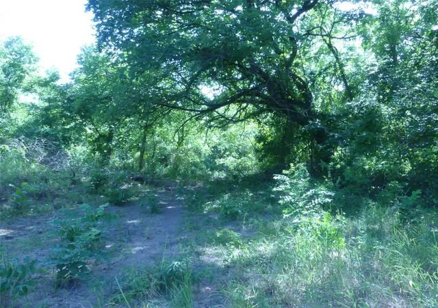 Photo 4 of Land for sale at 1691 W Alamo Rd, Bowie, TX 76230 | MLS# 21332827 | Listing updated on 2026-10-04