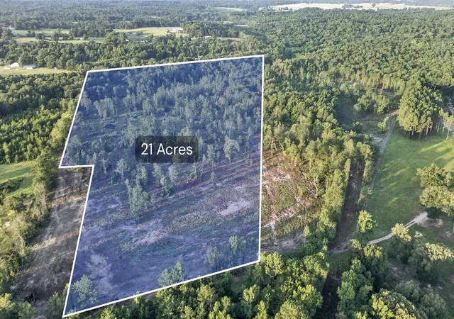 Photo 1 of Land for sale at Tbd 21 Acres Cr 3116, Winona, TX 75792 | MLS# 21331915 | Listing updated on 2026-07-23