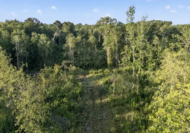 Photo 3 of Land for sale at Tbd 21 Acres Cr 3116, Winona, TX 75792 | MLS# 21331915 | Listing updated on 2026-07-23