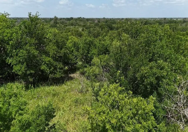 Photo 2 of Land for sale at 0 (off) Hcr 3255, Mount Calm, TX 76673 | MLS# 21332994 | Listing updated on 2026-07-17