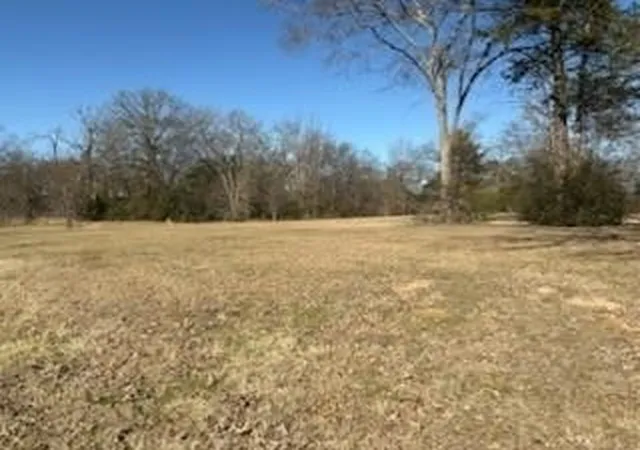 Photo 1 of Land for sale at 00 S Sh 314 Hwy, Van, TX 75790 | MLS# 21333003 | Listing updated on 2026-07-17