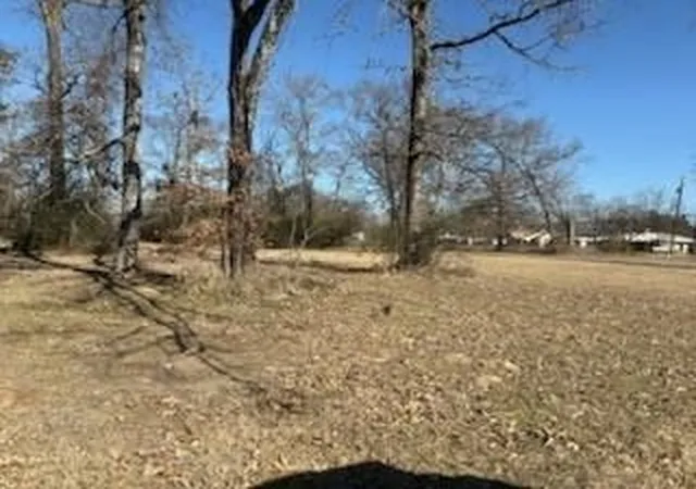 Photo 2 of Land for sale at 00 S Sh 314 Hwy, Van, TX 75790 | MLS# 21333003 | Listing updated on 2026-07-17