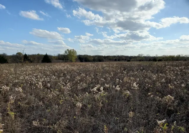 Photo 2 of Land for sale at Tbd Hagerman, Pottsboro, TX 75076 | MLS# 21333179 | Listing updated on 2026-10-02