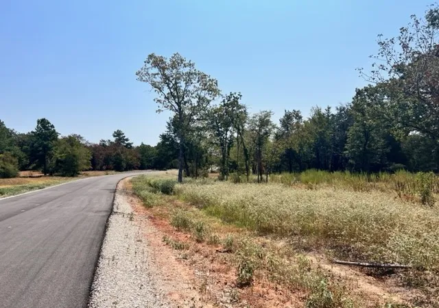 Photo 3 of Land for sale at Lot 19 Fm 489 E, Fairfield, TX 75840 | MLS# 21333184 | Listing updated on 2026-07-17