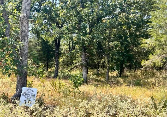 Photo 4 of Land for sale at Lot 19 Fm 489 E, Fairfield, TX 75840 | MLS# 21333184 | Listing updated on 2026-07-17