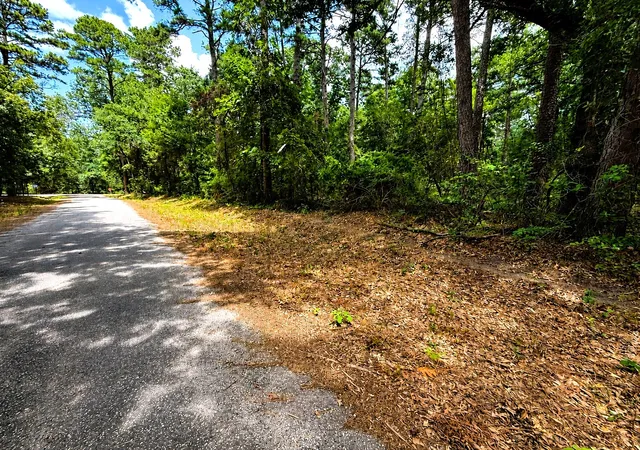 Photo 1 of Land for sale at Tbd Lot 4 County Road 4557, Winnsboro, TX 75494 | MLS# 21333546 | Listing updated on 2026-07-17