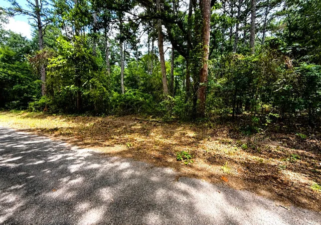 Photo 2 of Land for sale at Tbd Lot 4 County Road 4557, Winnsboro, TX 75494 | MLS# 21333546 | Listing updated on 2026-07-17
