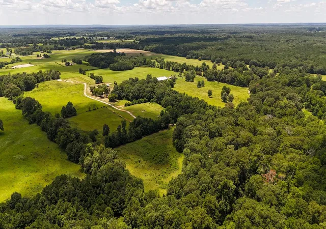 Photo 1 of Land for sale at Tbd County Road 235, Beckville, TX 75631 | MLS# 21333629 | Listing updated on 2026-08-24