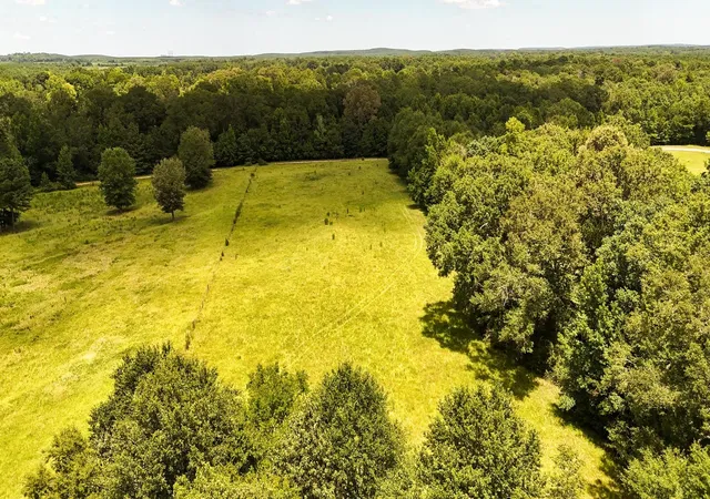 Photo 2 of Land for sale at Tbd County Road 235, Beckville, TX 75631 | MLS# 21333629 | Listing updated on 2026-08-24