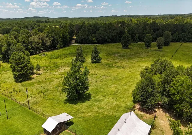 Photo 3 of Land for sale at Tbd County Road 235, Beckville, TX 75631 | MLS# 21333629 | Listing updated on 2026-08-24