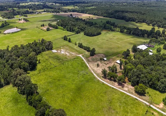 Photo 3 of Land for sale at Tbd County Road 235, Beckville, TX 75631 | MLS# 21333629 | Listing updated on 2026-08-24