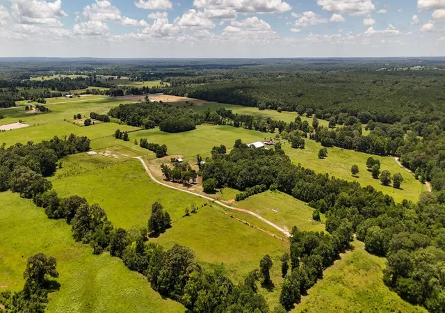 Photo 4 of Land for sale at Tbd County Road 235, Beckville, TX 75631 | MLS# 21333629 | Listing updated on 2026-08-24