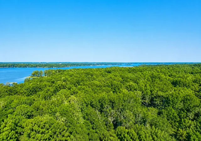Photo 4 of Land for sale at 3234 Shadow Pine Dr, Larue, TX 75770 | MLS# 21333934 | Listing updated on 2026-07-17