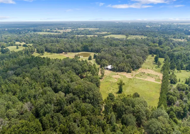 40th image of 253 County Road 2412, Pickton, TX 75471 | MLS# 21334017
