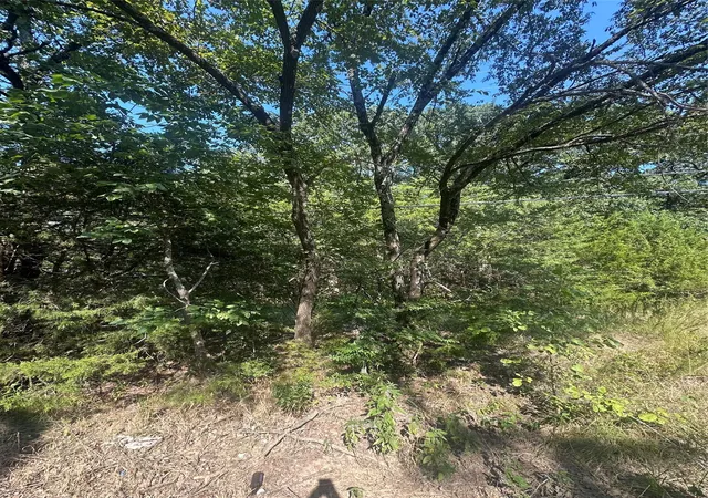 Photo 3 of Land for sale at Lots 106 109 Pr 3837, Quinlan, TX 75474 | MLS# 21334100 | Listing updated on 2026-07-17