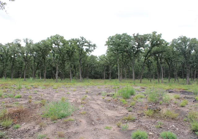 Photo 1 of Land for sale at Tbd Tokio Loop, West, TX 76691 | MLS# 21334263 | Listing updated on 2026-07-18