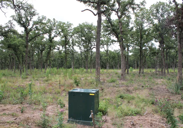 Photo 2 of Land for sale at Tbd Tokio Loop, West, TX 76691 | MLS# 21334263 | Listing updated on 2026-07-18