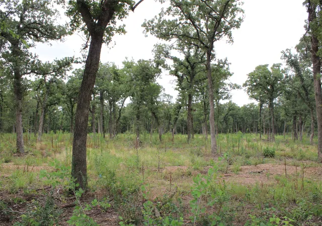 Photo 3 of Land for sale at Tbd Tokio Loop, West, TX 76691 | MLS# 21334263 | Listing updated on 2026-07-18