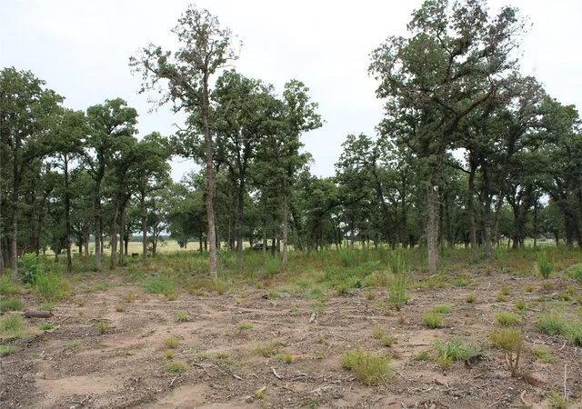 Photo 4 of Land for sale at Tbd Tokio Loop, West, TX 76691 | MLS# 21334263 | Listing updated on 2026-09-28