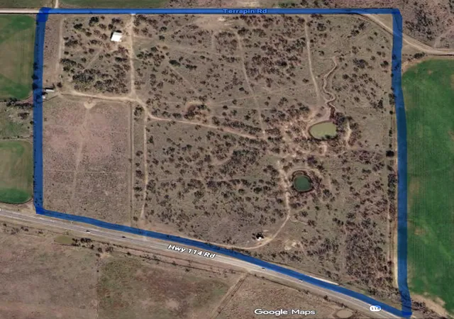 Homes for sale in No City, TX | Tbd Hwy 114, No City, TX 76370 | MLS# 21334436