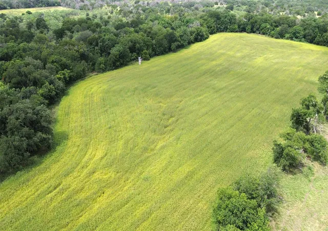 Photo 4 of Land for sale at Tbd Cr 248 A, Comanche, TX 76442 | MLS# 21334469 | Listing updated on 2026-09-06