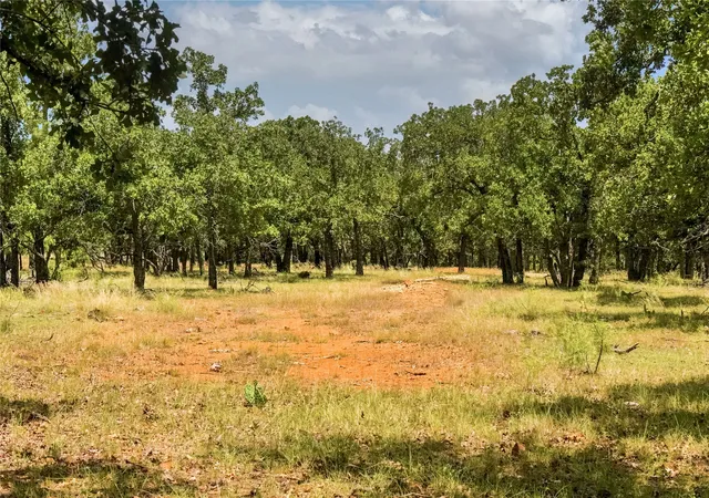 Photo 1 of Land for sale at 165 Acres Burwick Rd, Jacksboro, TX 76458 | MLS# 21334663 | Listing updated on 2026-07-18