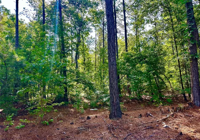 Photo 3 of Land for sale at 00 Hwy 808, Haynesville, LA 71038 | MLS# 21333117 | Listing updated on 2026-07-18