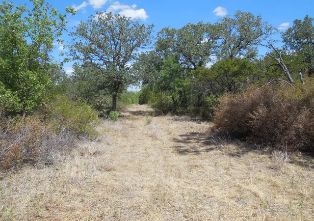 Land for sale at Tbd 10 Acres Cr 136, Ranger, TX 76470 | MLS# 21334872