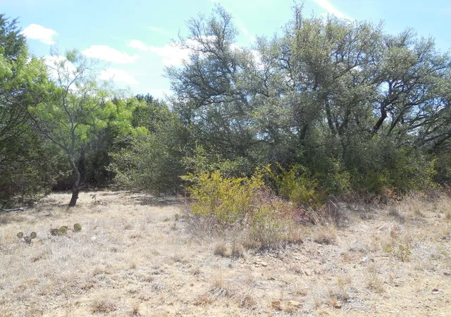 Photo 3 of House for sale at Tbd 10 Acres Cr 136, Ranger, TX 76470 | MLS# 21334872 | Listing updated on 2026-07-18